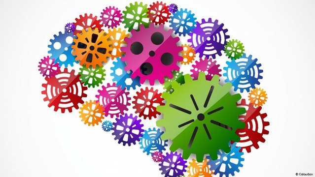 Existem diferenças entre o cérebro da mulher e do homem?