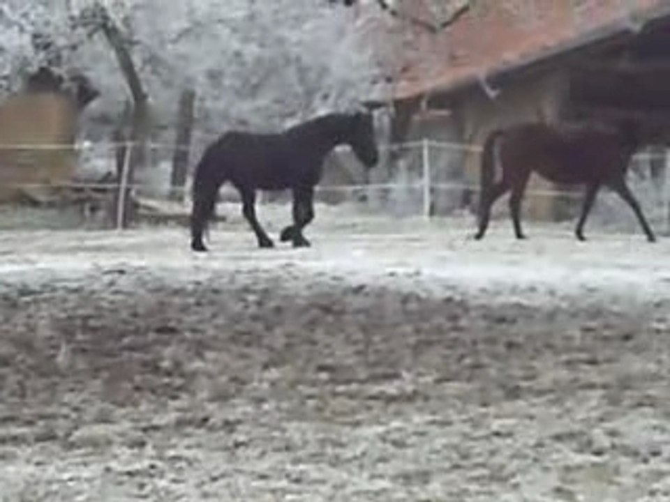 Ruby neige + obernai 026