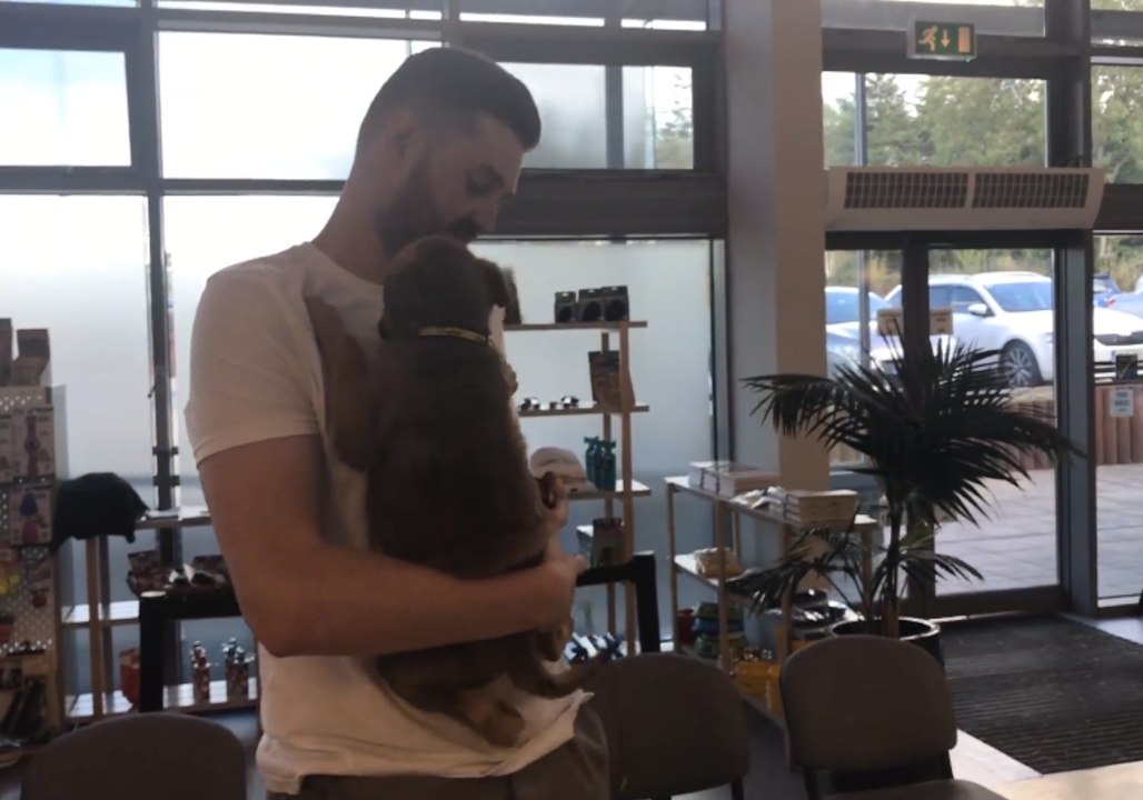 Rescue Puppy's Tail Won't Stop Wagging as He Goes Home With New Owner