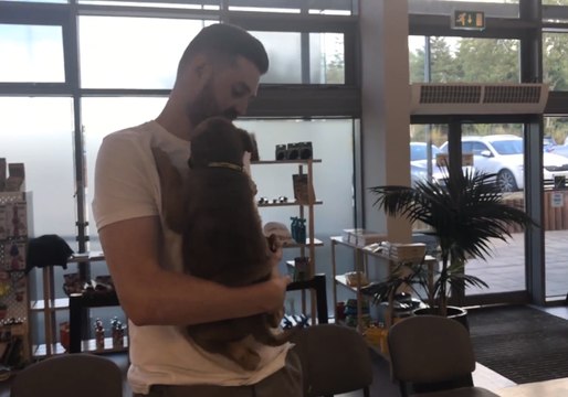 Rescue Puppy's Tail Won't Stop Wagging as He Goes Home With New Owner