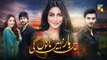 Main Haar Nahin Manoun Gi Episode #23 Promo HUM TV Drama