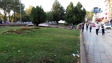 Sokak köpeği dehşet saçtı