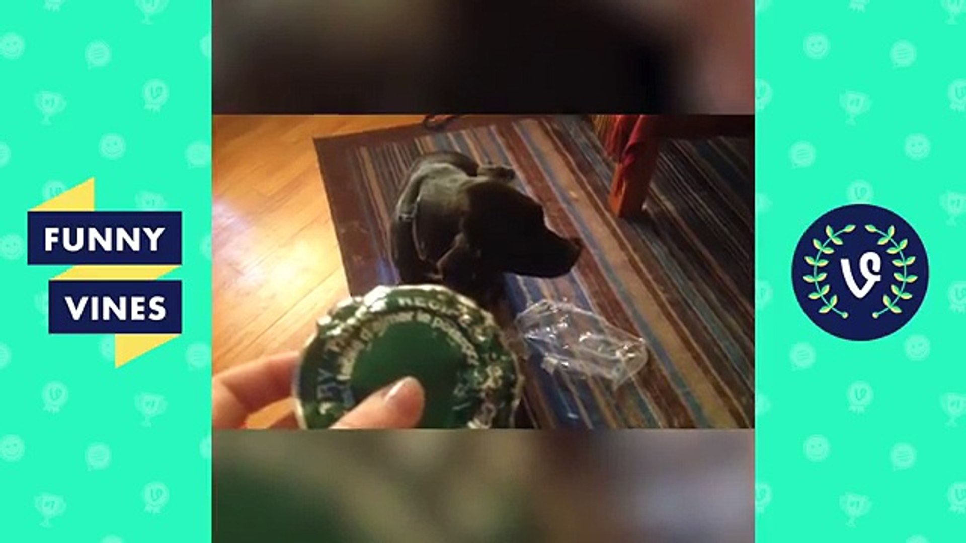 ⁣Funniest Guilty Pet Videos Weekly Compilation 2018 | Funny Pet Videos