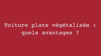 Toiture plate végétalisée : quels avantages ?