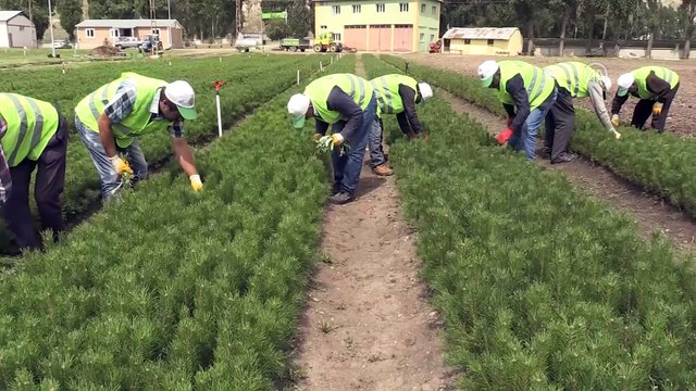 'Yeşil Doğu Anadolu' için mesaideler - KARS