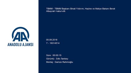 TBMM Başkanı Yıldırım, Hazine ve Maliye Bakanı Albayrak'ı kabul etti - ANKARA