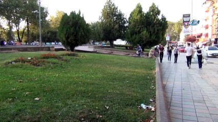 İnegöl'de başı boş köpekler dehşet saçmaya devam ediyor