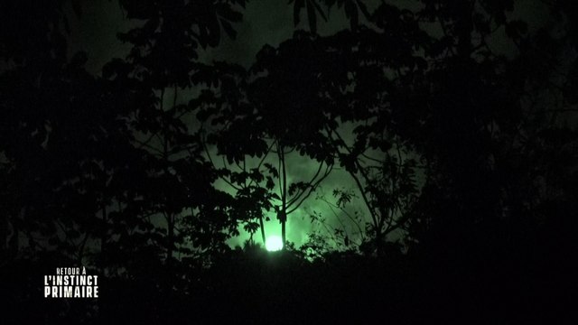 Avant-première: Une candidate de Retour à l'instinct primaire diffusé ce soir sur RMC Découverte se plaint d'atroce démangeaisons - VIDEO