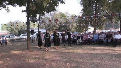 Düzce'de Tıbbi ve Aromatik Bitkilerin İlk Hasadı Yapıldı