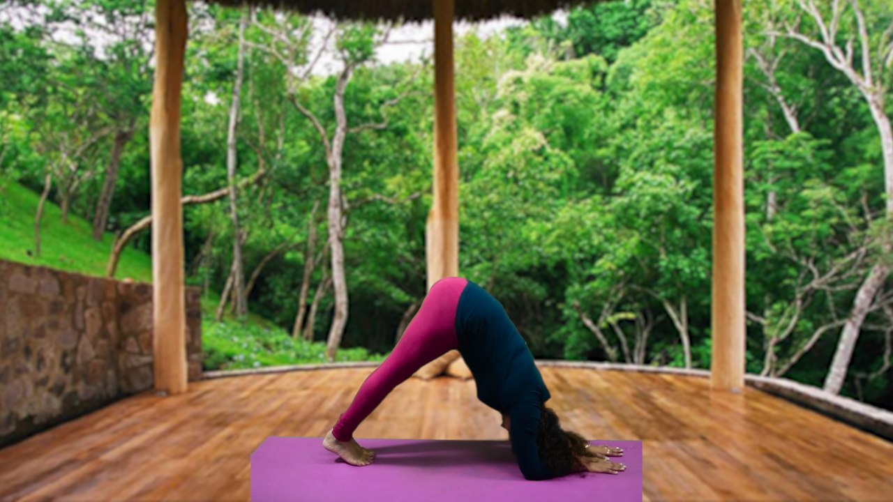 Yoga : Ardha Pincha Mayurasana : 8 समस्याओं का एक हल है अर्द्ध पिंचा मयूरासन| Boldsky