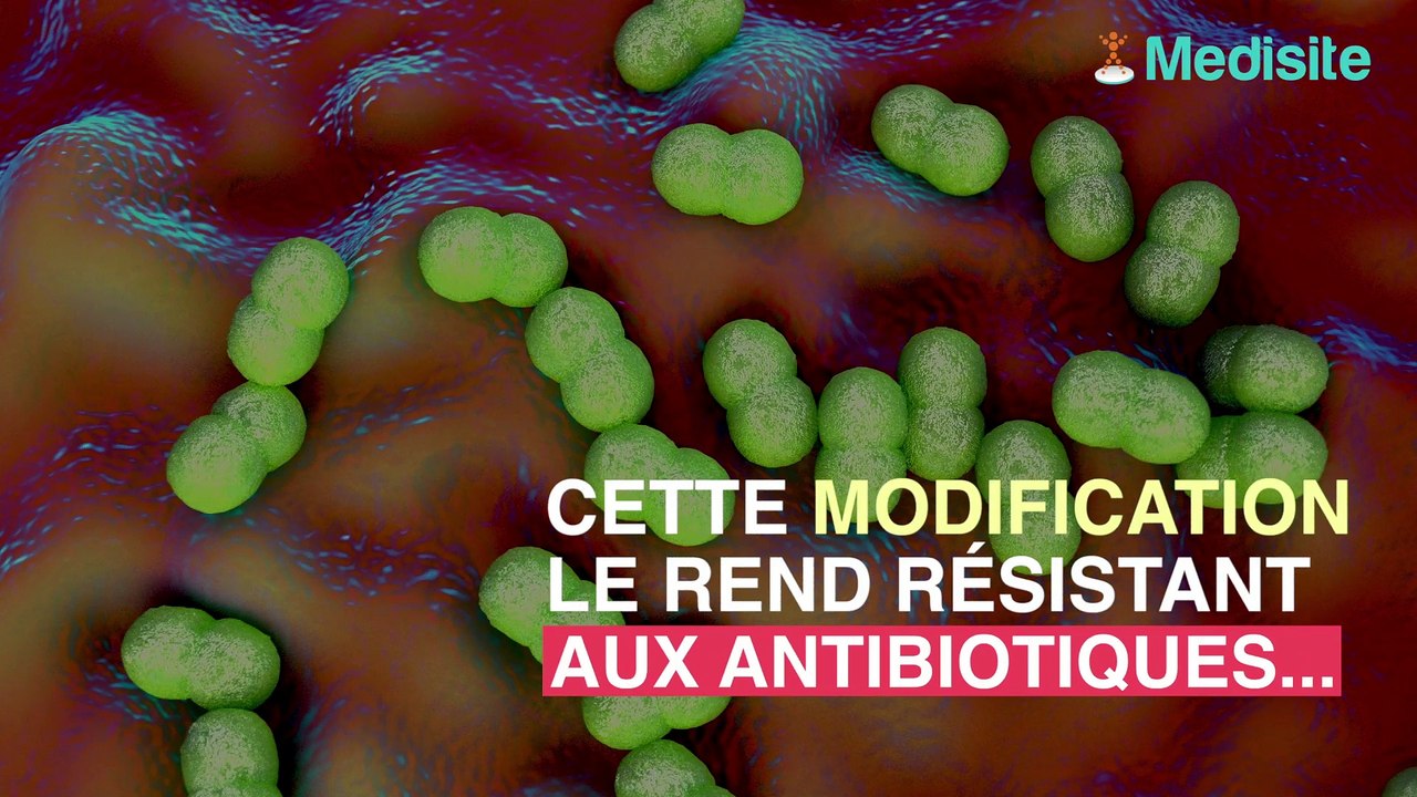 Une bactérie résistante aux antibiotiques sévit dans le monde