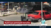 Kumru ve yavrularına şemsiyeli koruma (Trafik ışıklarına yuva yaptı)