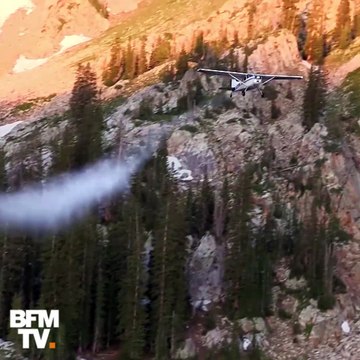 Voici comment l’Utah remplit ses lacs de poissons