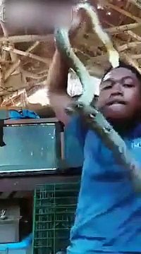 Un jeune garçon apprend qu’il ne faut pas trop jouer avec les serpents.