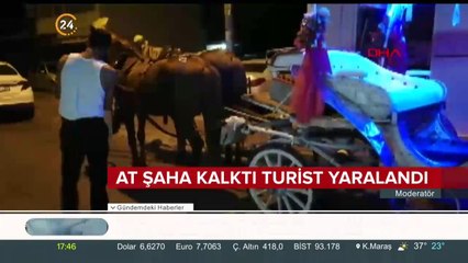 At şaha kalktı turist yaralandı