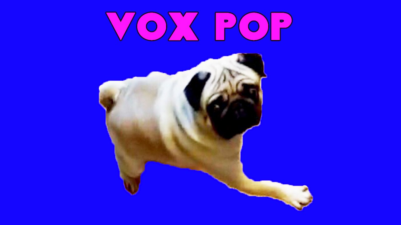Vox Pop - Pugs, Facebook & Opinions