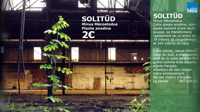 Quand un graphiste d'Évreux parodie le catalogue d'un célèbre fabricant de meubles suédois