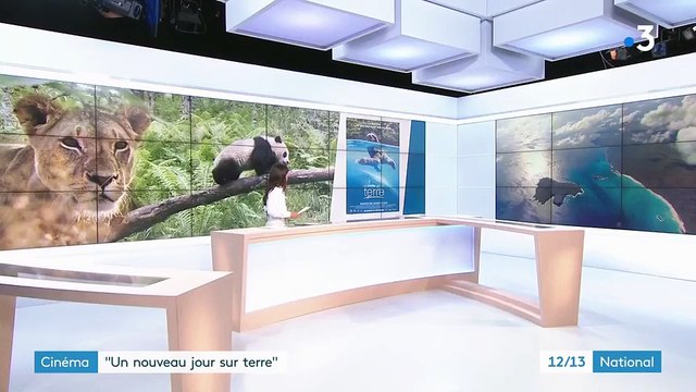 Cinéma : Un nouveau jour sur terre , un documentaire animalier d'un nouveau genre