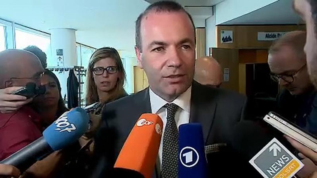 Manfred Weber: Ich kann und will es machen
