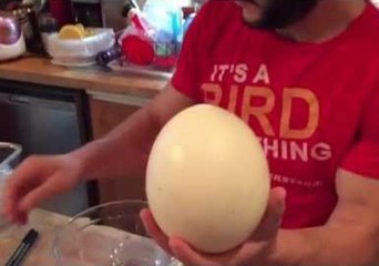 Dad Whips Up an Ostrich Egg Omelette