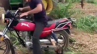 Funny Video | Stupid Videos