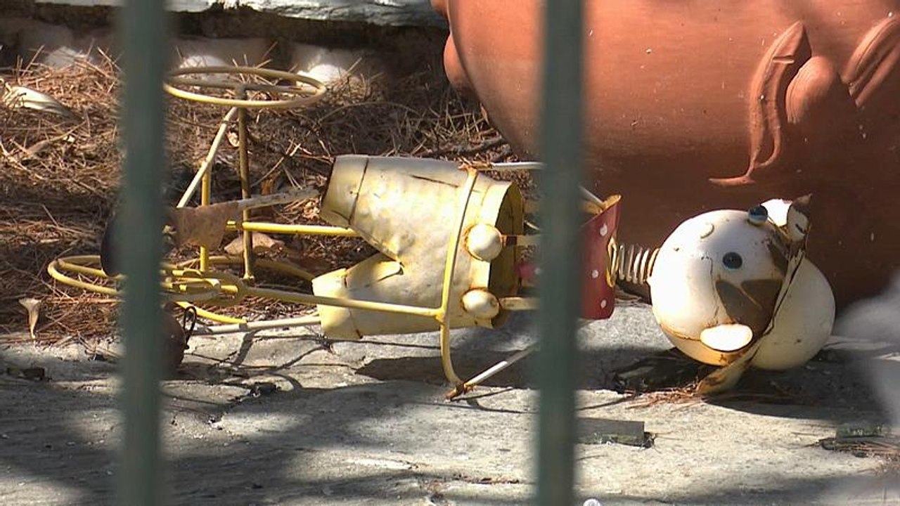 'Ich habe Hass in mir' - Leben im verbrannten Mati bei Athen