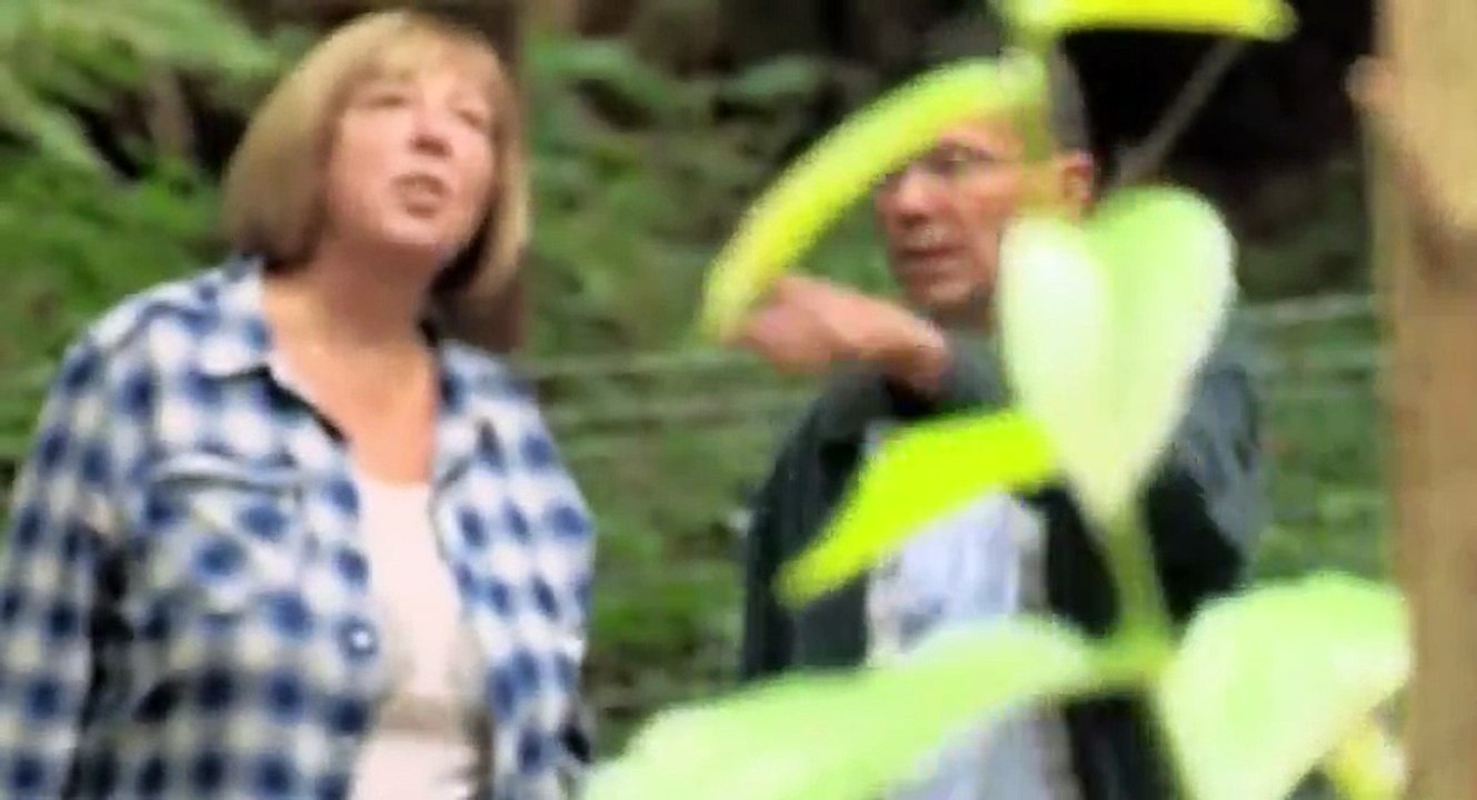 Homes Under the Hammer S19 - Ep09 Thu, 30th April 2015 -. Part 02 HD Watch