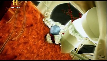 Amerikanın Tarihi Bölüm 5 - İç Savaş