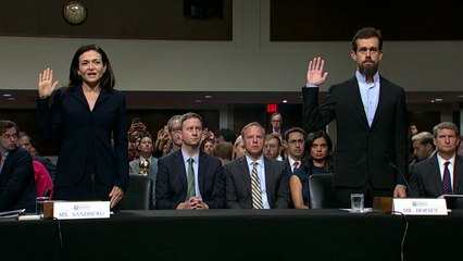 "페이스북·트위터·구글 총집합"...美 의회 군기 잡기 / YTN