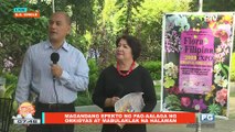 ON THE SPOT: Magandang epekto ng pag-aalaga ng orkidyas at mabulaklak na halaman