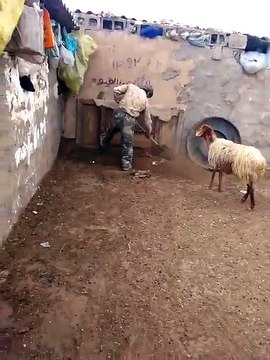 سبحان اللہ بہت ہی خوبصورت اللہ کی قدرت دیکھے-