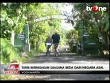 Eksotisme Wisata Desa di Kulon Progo