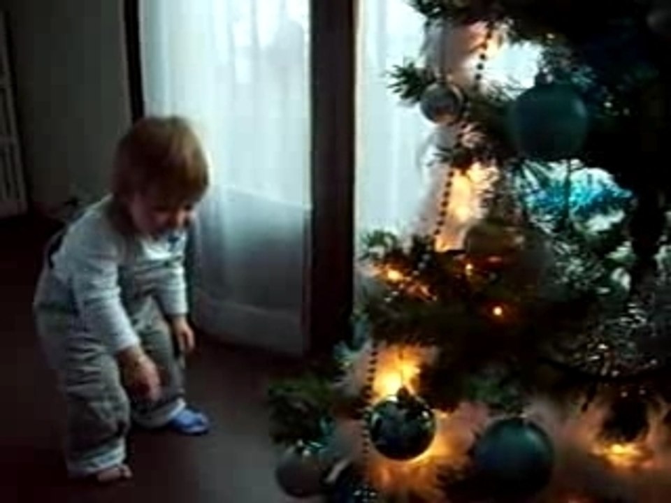 Découverte du sapin de Noël