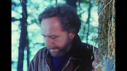 Ptice koje ne polete (1997) - Ceo domaci film 1. DEO