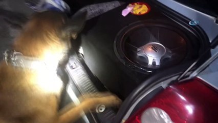 Ses sisteminden 8 bin uyuşturucu hap çıktı