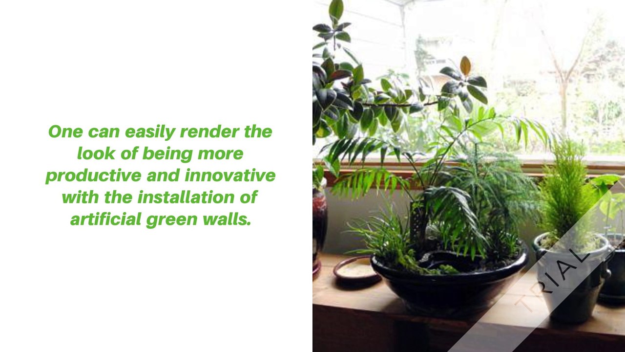 Best Ever Artificial Plant Walls in Sydney