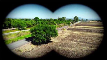 ¿Felicidad está muerta? | La Piloto II |