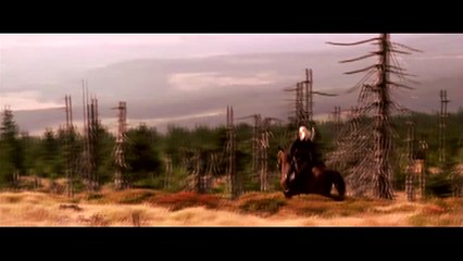 Avant Netflix, The Witcher a déjà été adapté en film et série TV !