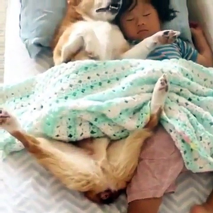 This looks like a very sound sleep