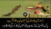 Amazing stunts by trained dogs in Lahore Defence Day ceremony