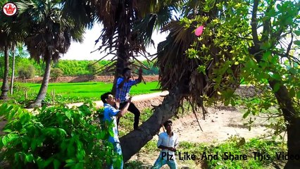 Boy s Fun in Village Full Comedy Video 2018 Top Funny Video Collection 2018,Try Not To Laugh✓by FuNn