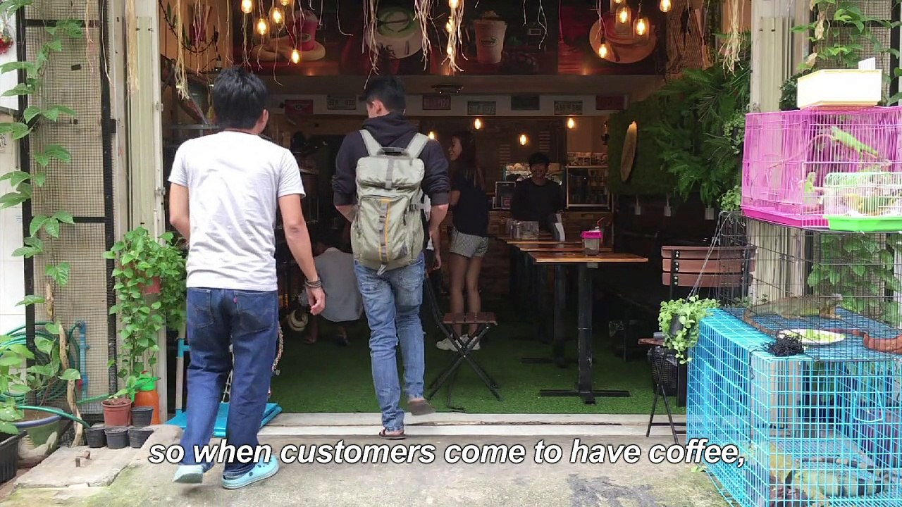 Phnom Penh's 'reptile cafe' slithers into people's hearts