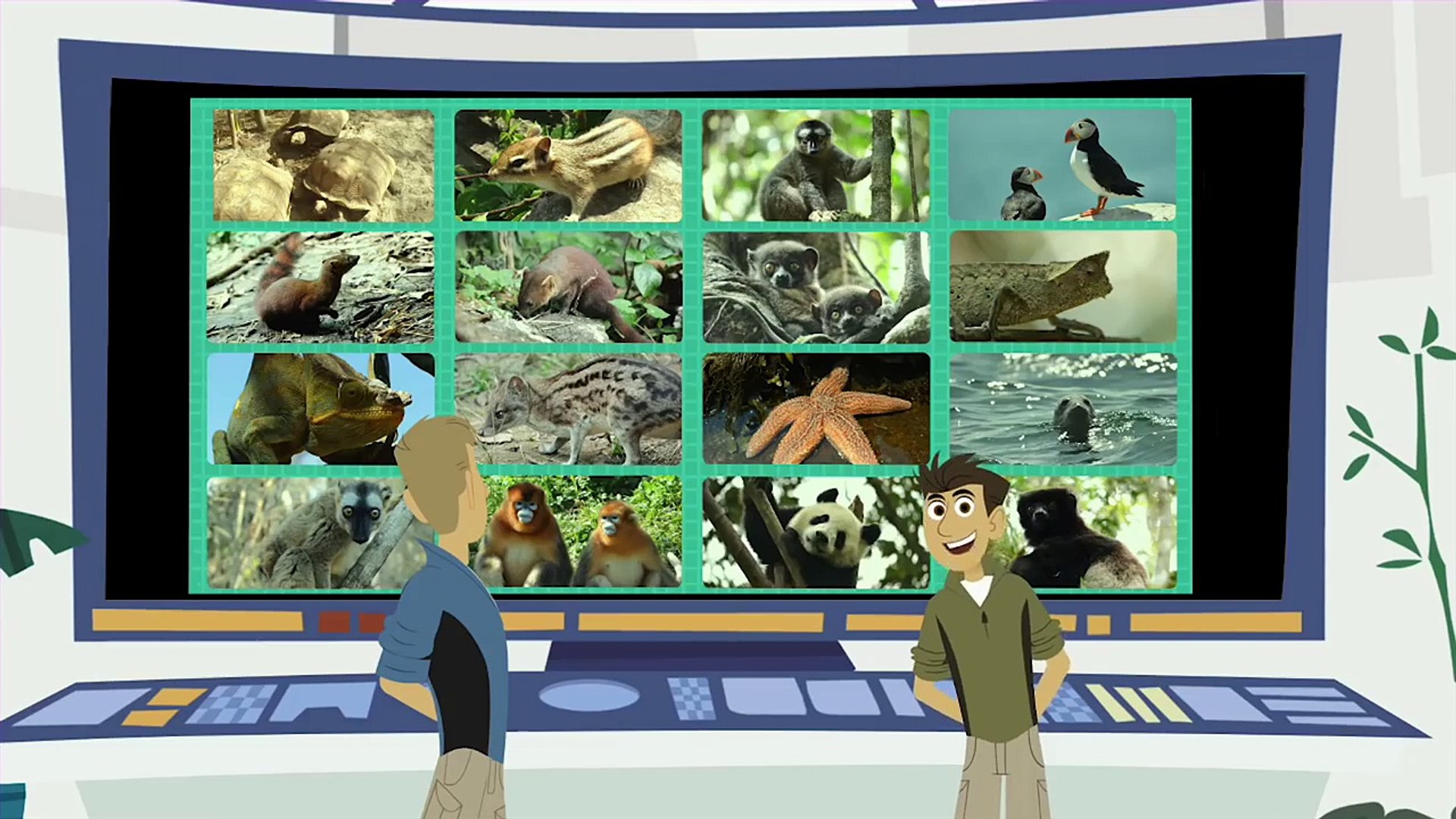 Wild Kratts Grizzly Bear Power