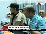 Pemkot Bogor Segera Data Pohon Tua di Kebun Raya