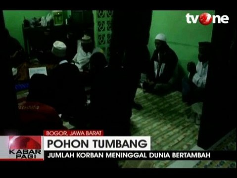 Korban Tewas Insiden Tumbangnya Pohon di Kebun Raya Bogor Bertambah
