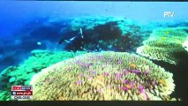 Mga diving sites sa bansa, ibinida ng DOT