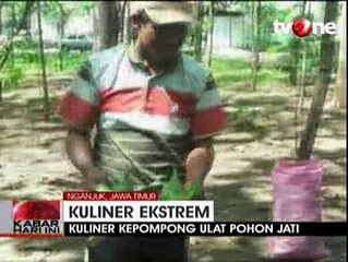 Kuliner Unik, Kepompong Ulat Pohon Jati