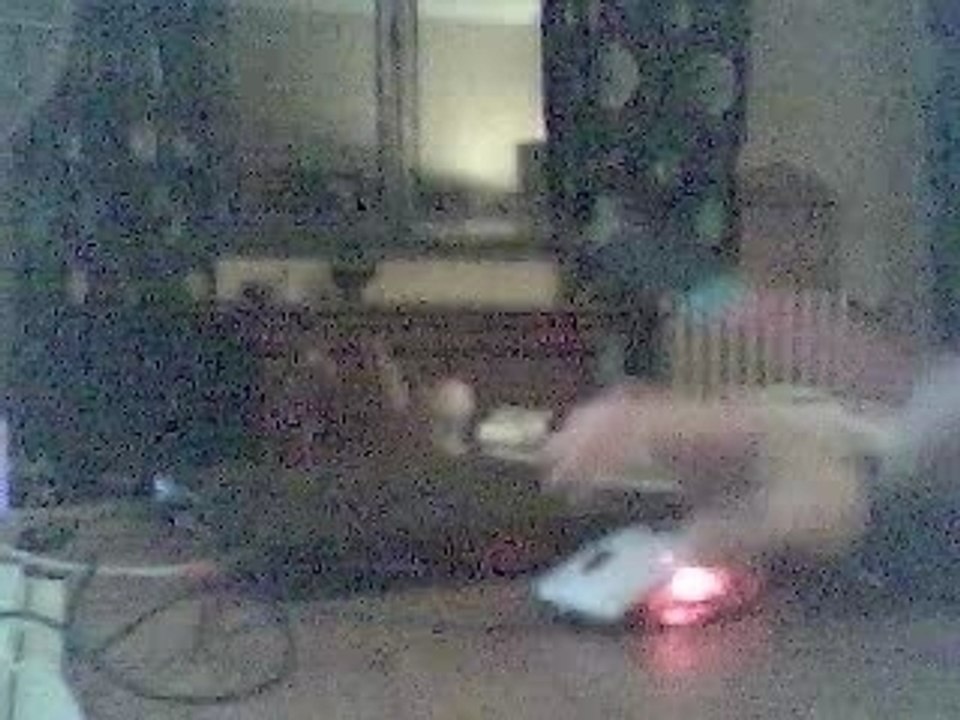 Sonic harmonic by Le Titi du 92