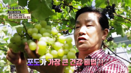 심장튼튼! 강심장 건강 고수의 비법은 포도?