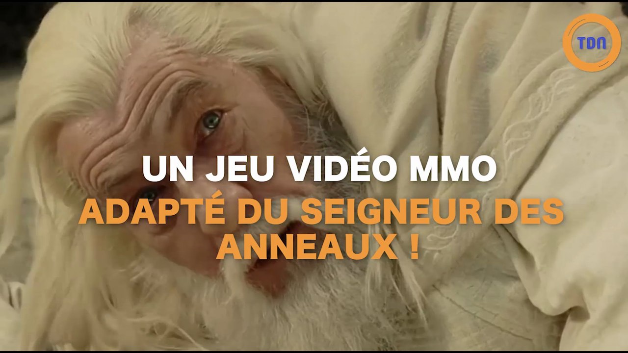 Un jeu vidéo MMO adapté du "Seigneur des Anneaux" !